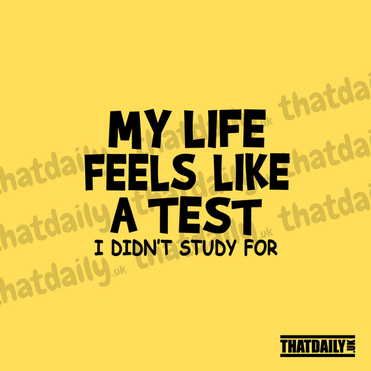 My Life Feels Like a Test I Didnt Study For
