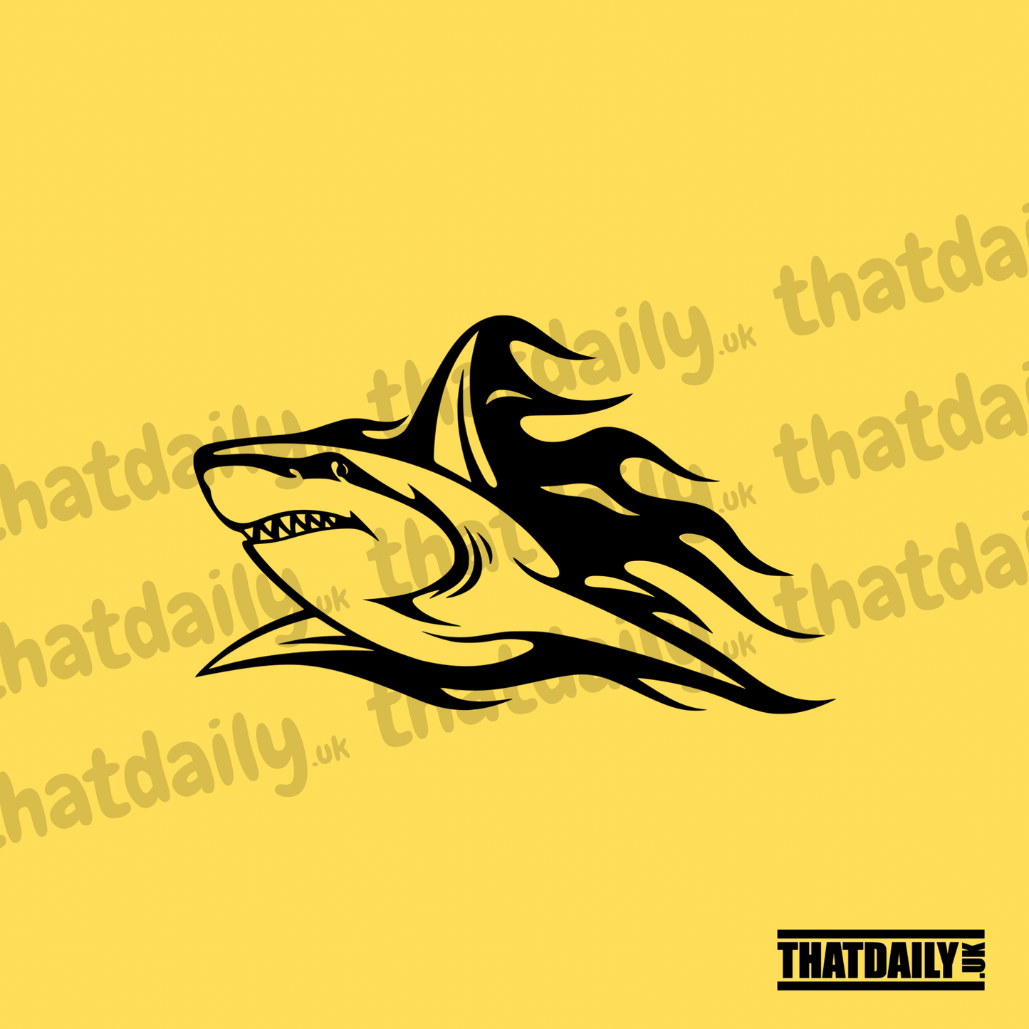 Shark