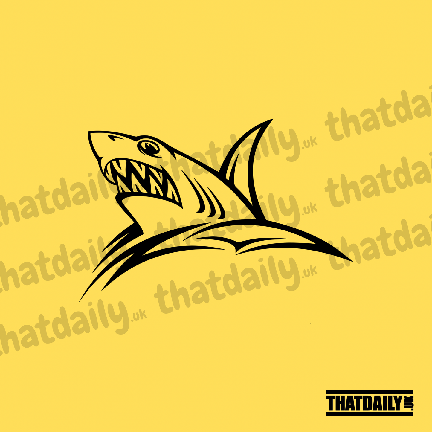 Shark v2